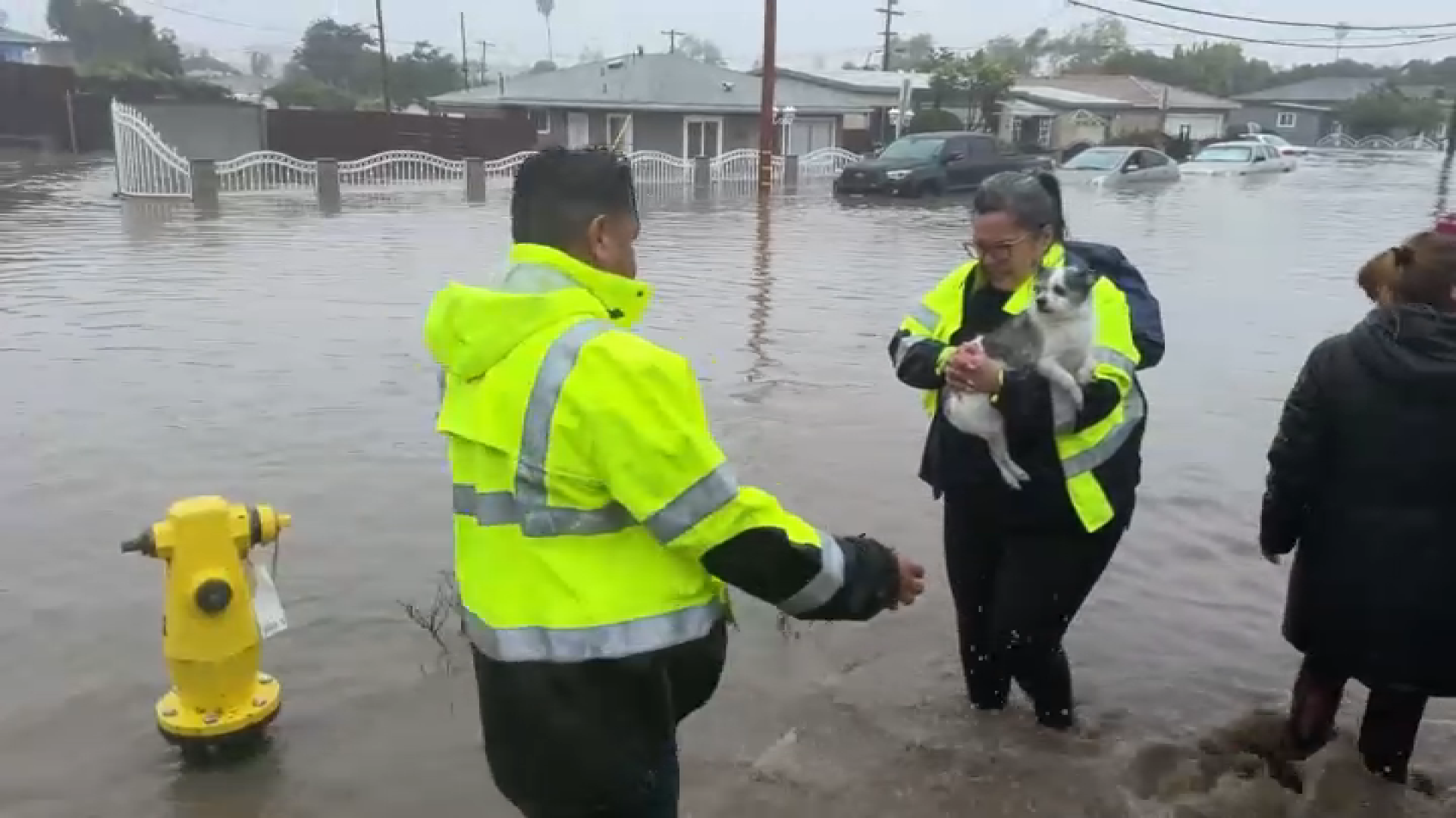 Rescue workers help a dog get to safety in the Southcrest neighborhood of San Diego after a rain storm brought flooding on Jan. 22, 2024.