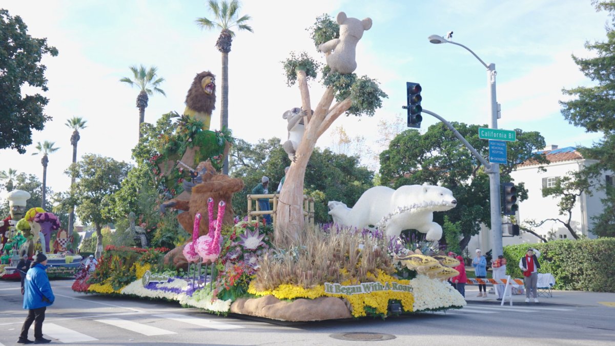 San Diego Zoo wins top prize at 135th Rose Parade in Pasadena - Vimarsana News