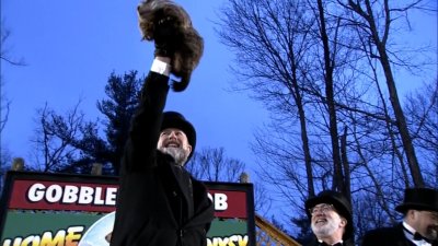 Famous groundhog Punxsutawney Phil sees no shadow