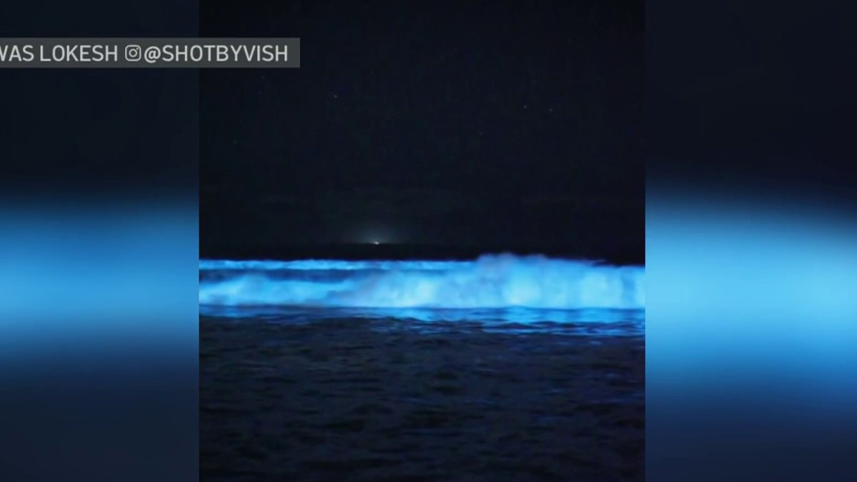 Glowing bioluminescence waves were spotted in Southern California again