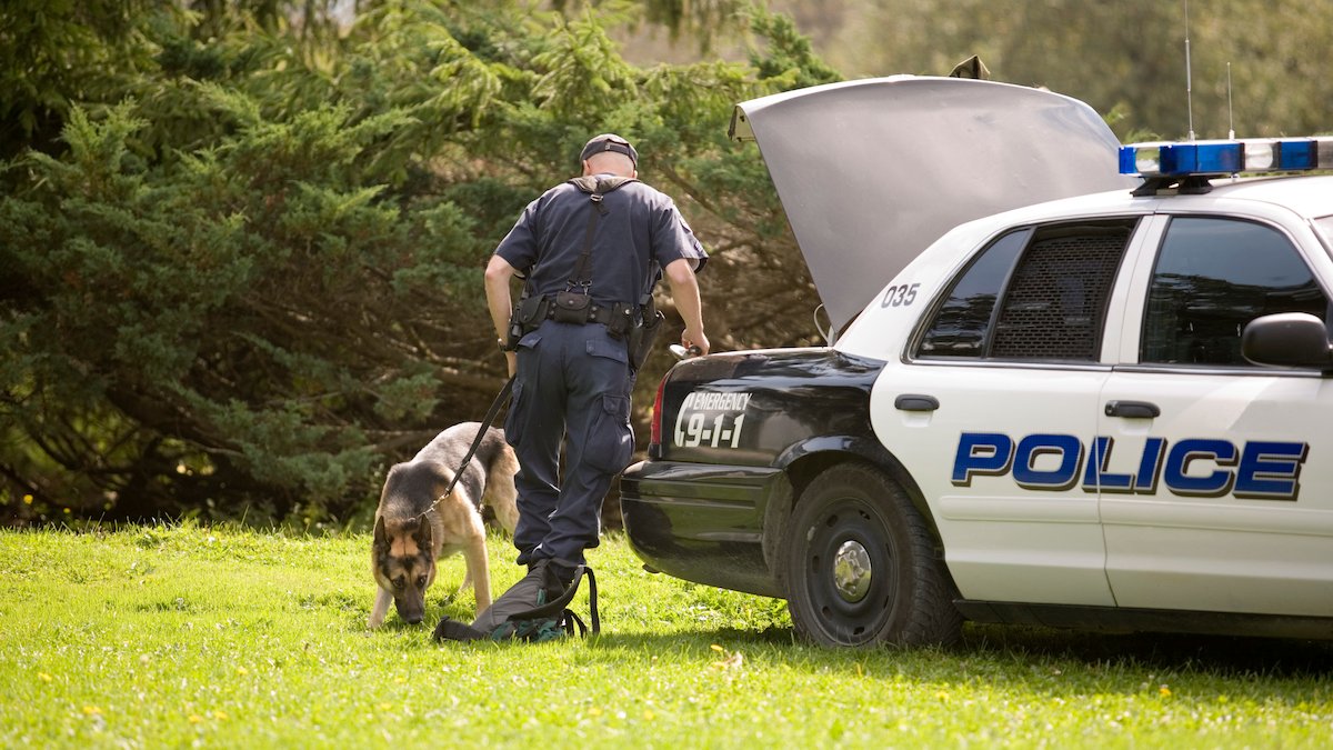 Kansas to increase penalties for harming police dogs – NBC 7 San Diego - Vimarsana News