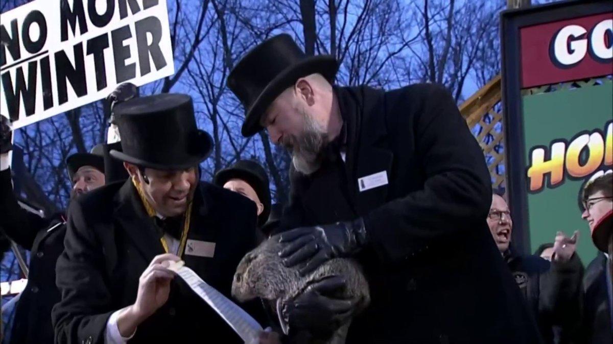 Groundhog Day 2024 forecast: Will Punxsutawney Phil see his shadow? – NBC 7 San Diego - Vimarsana News