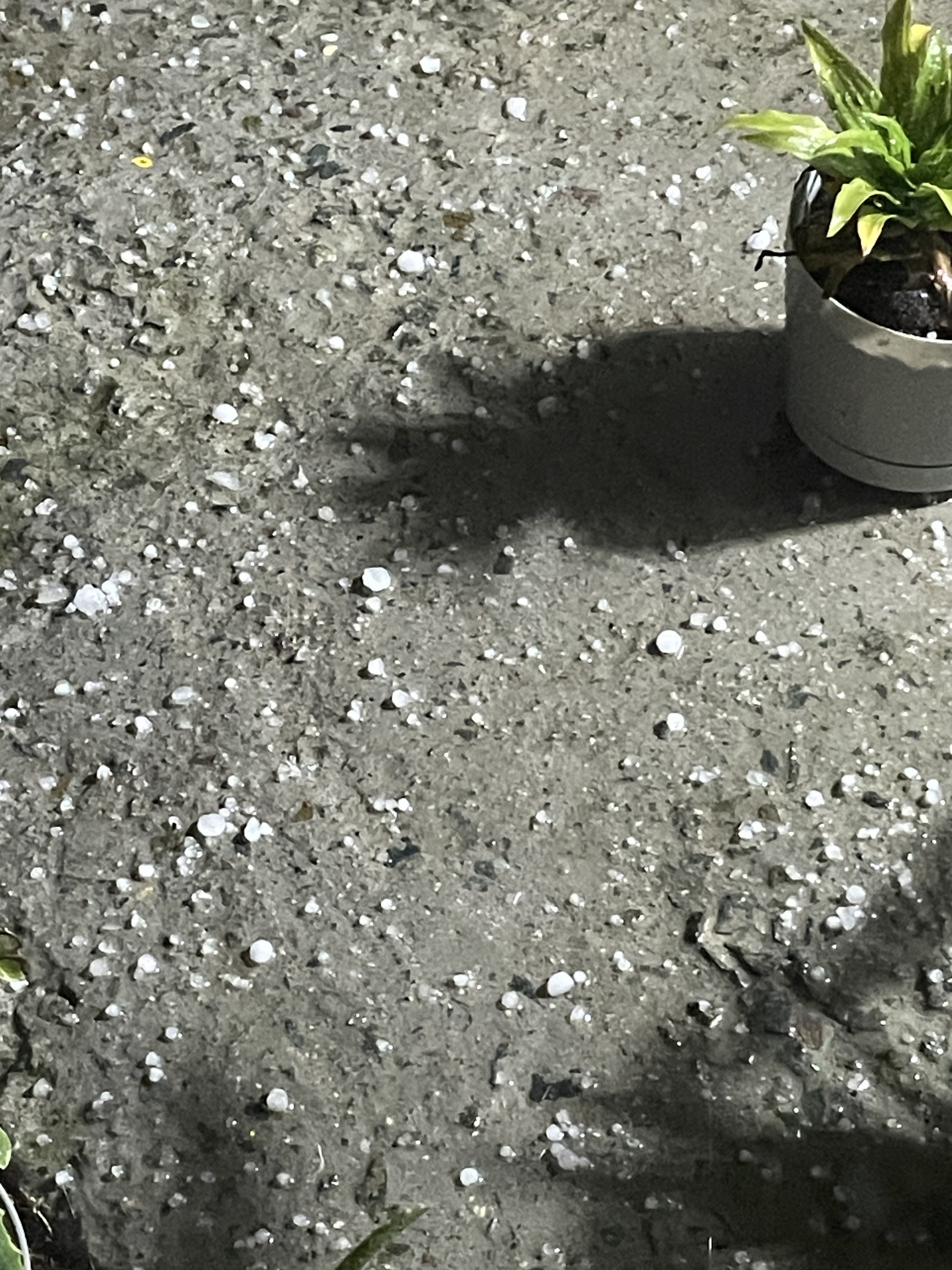 Winter storm dumps more than a foot of snow on San Diego mountains in