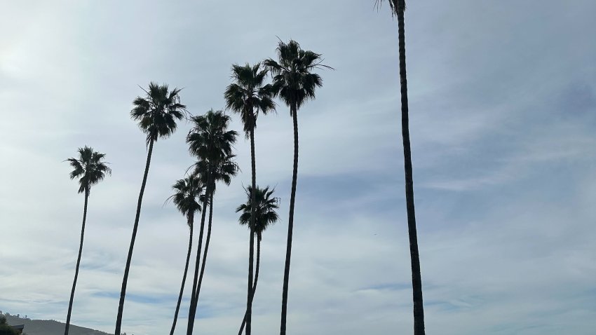 A cloudy sky hangs above La Jolla Shores, Jan. 28, 2024.