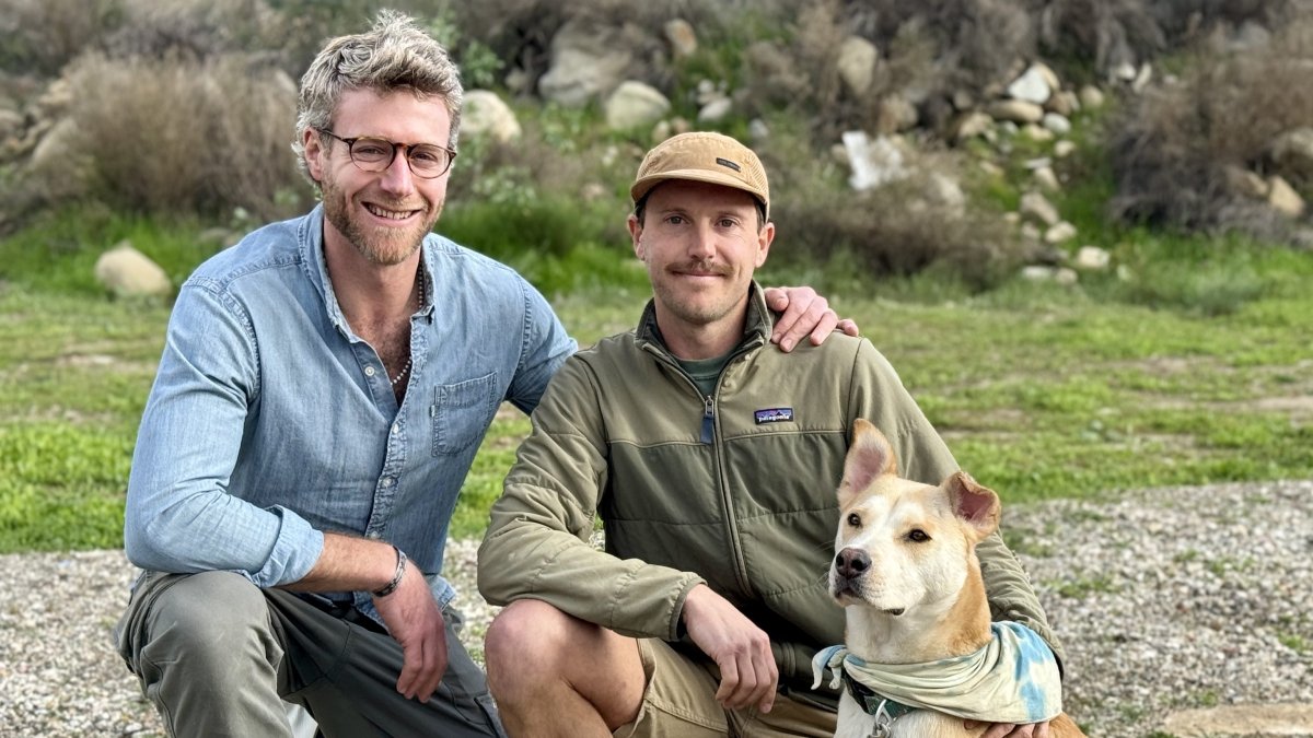 Runners save their dog from a mountain lion attack in So Cal – NBC 7 San Diego - Vimarsana News