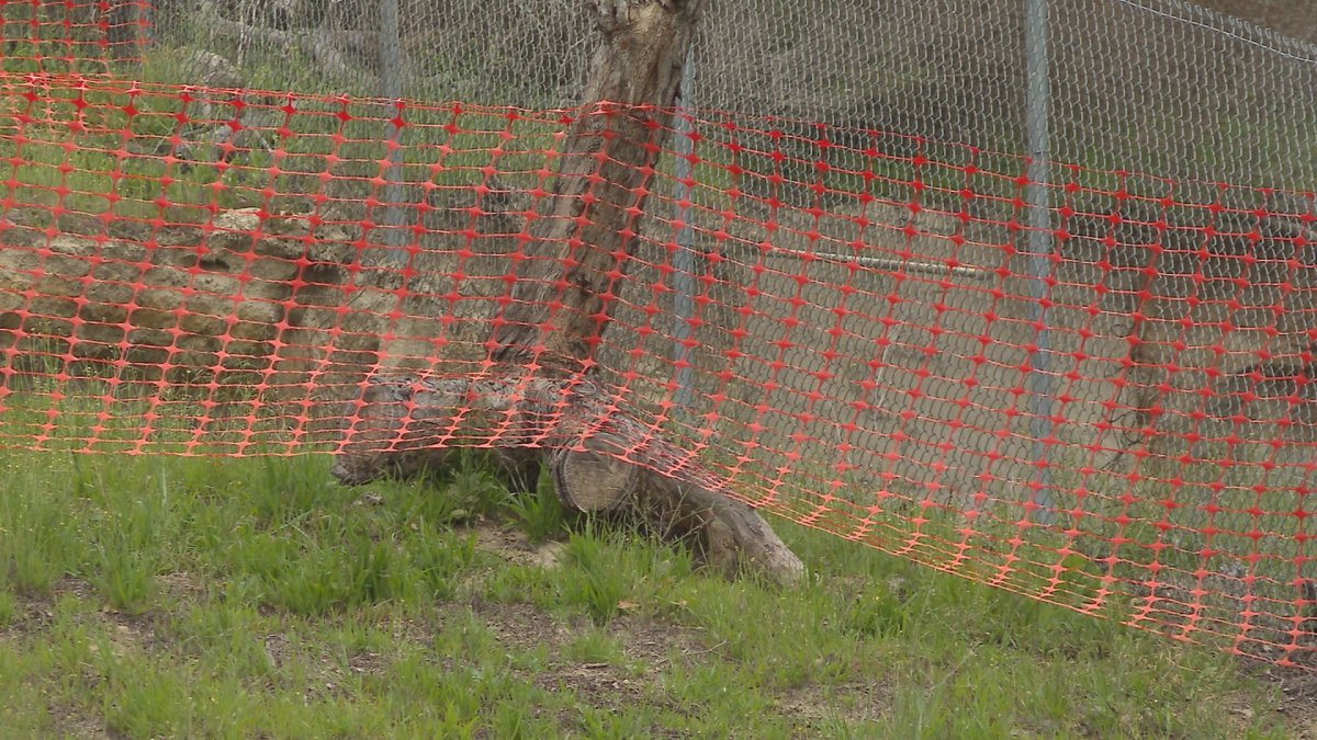 Sinkholes piling up in City of San Diego's backlog - Vimarsana News