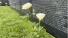 ‘The Wall That Heals' memorial allows San Diegans to honor Vietnam War veterans