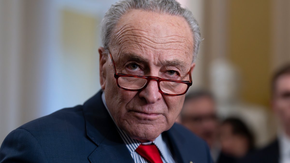 Top Democrat Schumer calls for new elections in Israel NBC 7 San Diego