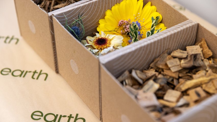 General view of the materials used in Earth Funeral's human composting process