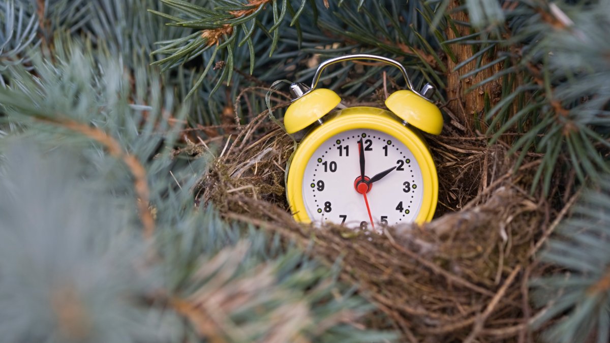 Daylight saving time Why some want to stop the ‘spring forward’ NBC