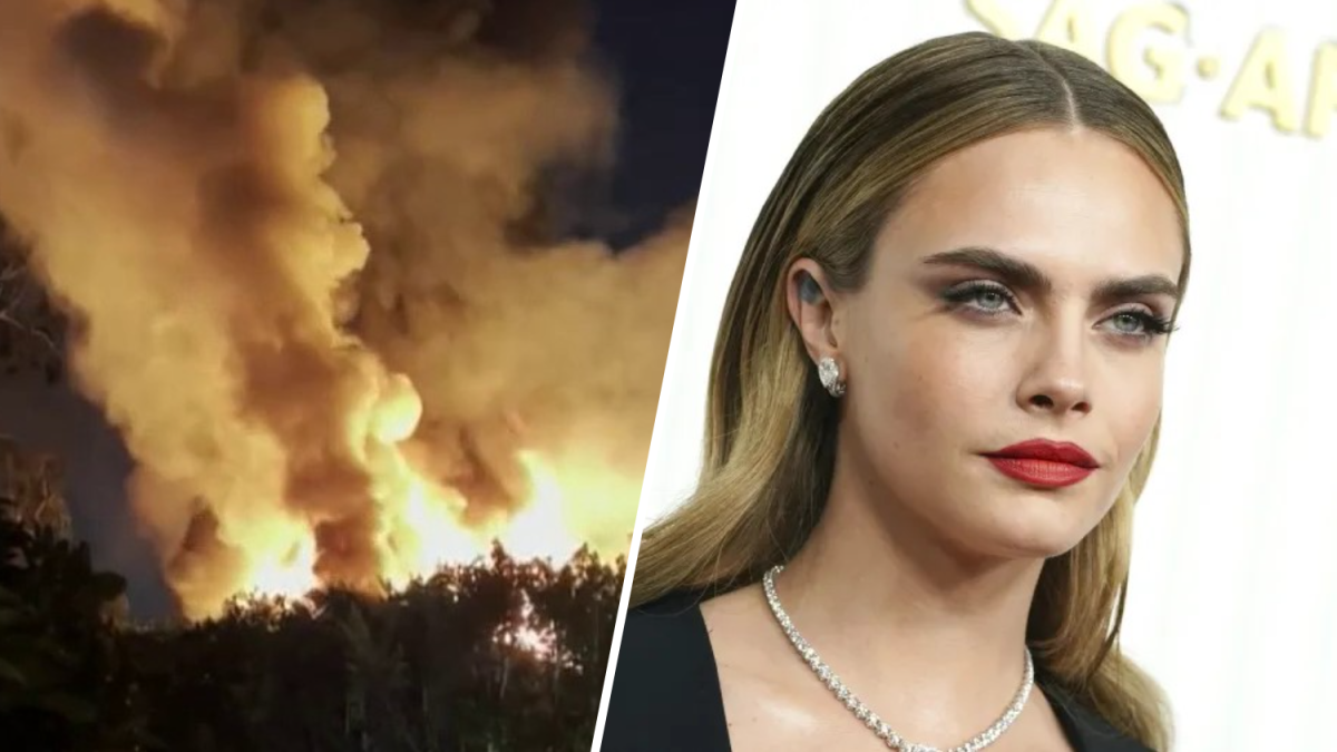 Actor Cara Delevingne’s Studio City home burns in fire NBC 7 San Diego