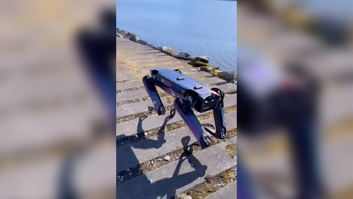 Alaska airport to use robot disguised as a coyote or fox to ward off wildlife – NBC 7 San Diego - Vimarsana News