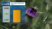 A graphic showing the pollen level in the medium to high range for Friday, March 22, 2024.