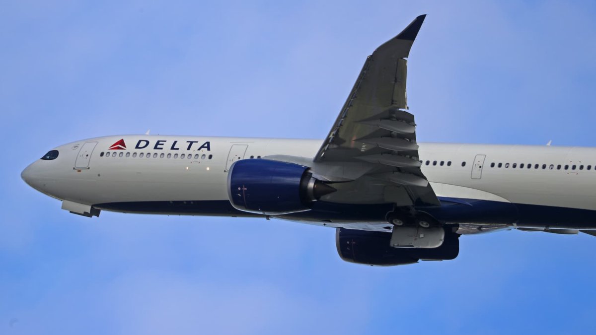 Delta tops quarterly earnings expectations, focuses on efficiency as growth steadies - Vimarsana News