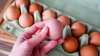 Genetic testing links regional salmonella outbreak to Ramona farm eggs: SD County