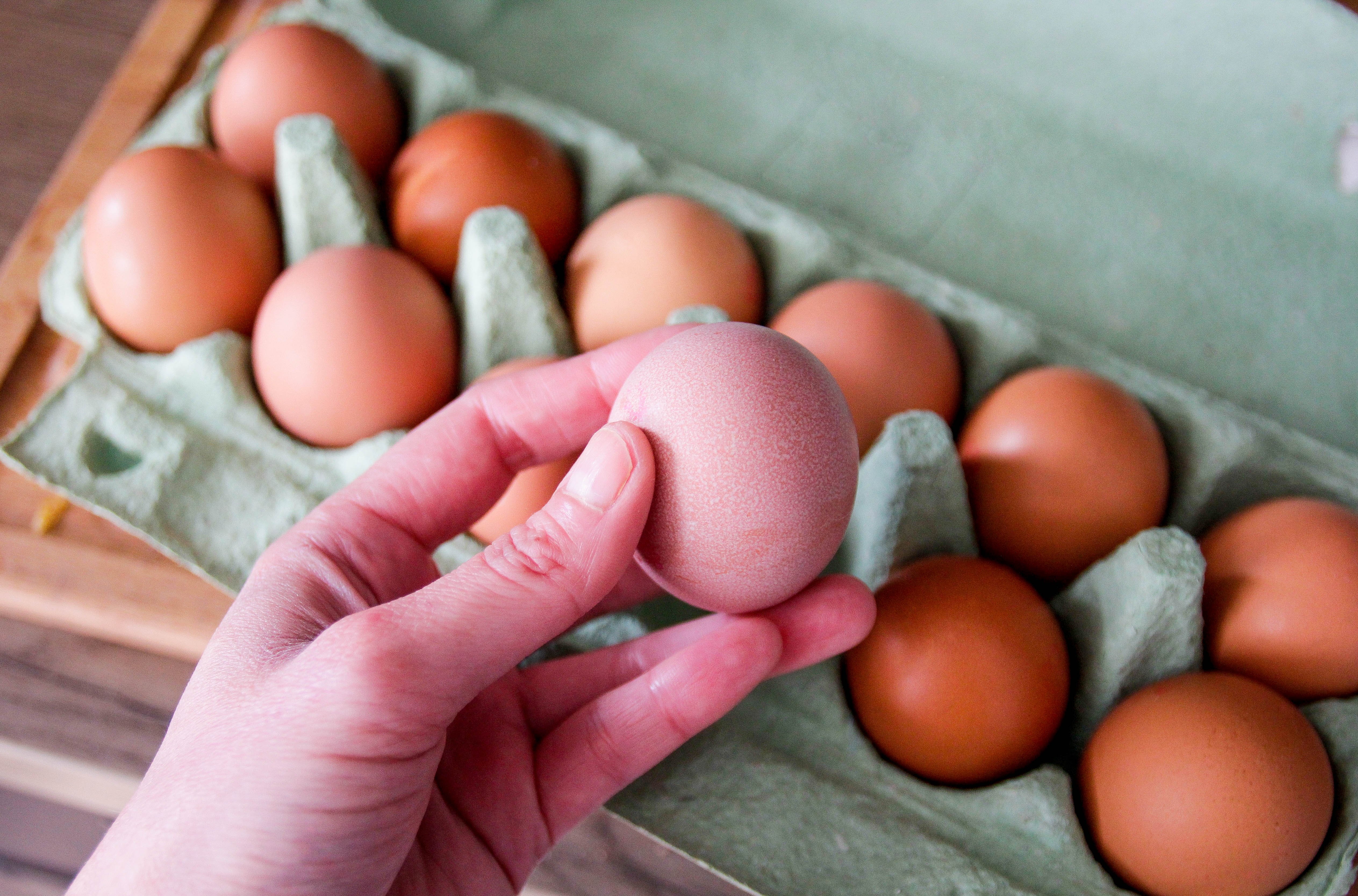 San Diego County Salmonella Outbreak Linked to Happy Hens Poultry Farm Eggs