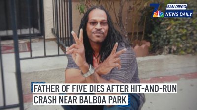 Family seeks public's help after deadly hit-and-run near Balboa Park | San Diego News Daily