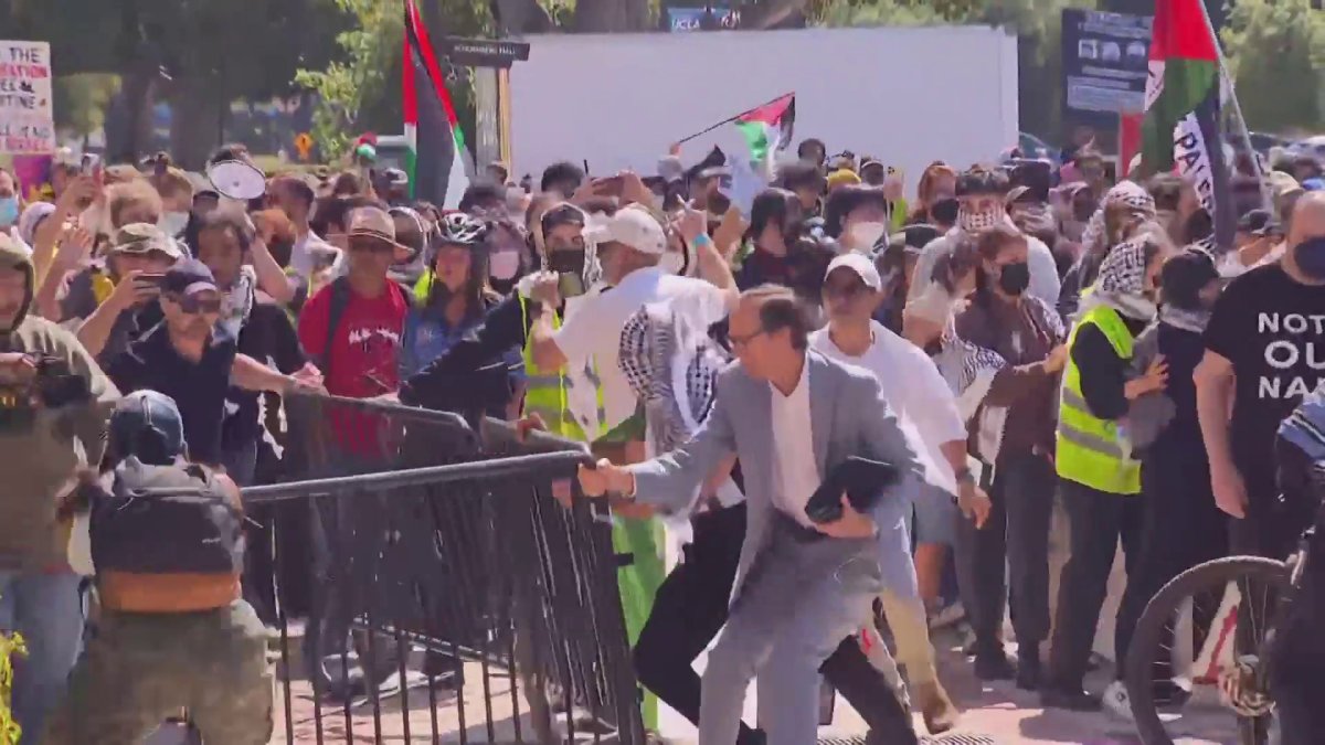 Fights break out at dueling pro-Palestinian, pro-Israel protests at ...