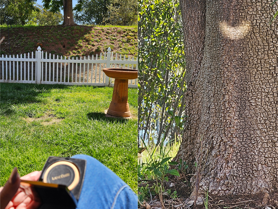 Lewis Norman used a compact mirror to reflect the eclipse onto the trunk of a tree 