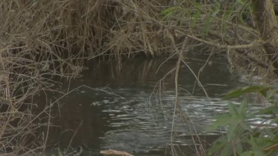 Sewage stench has some South Bay neighbors concerned about health issues