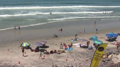 New app offers real-time beach conditions in Encinitas