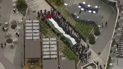 UC San Diego students walk through campus with Palestinian flag