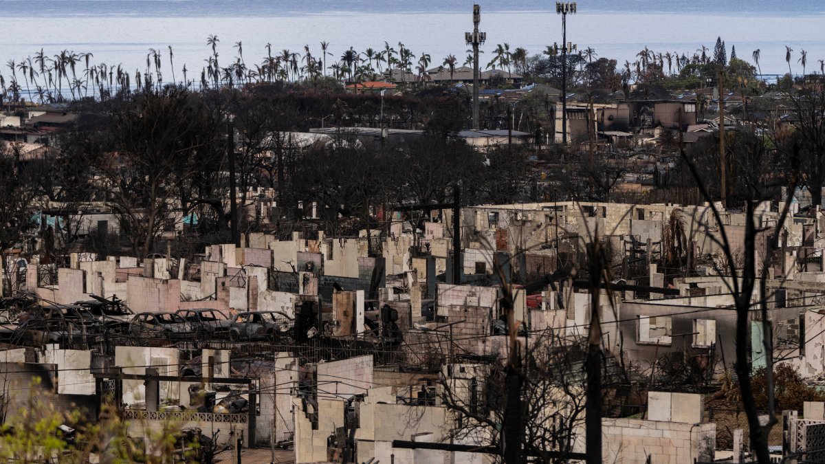 Maui sues cell carriers over wildfire warnings never received – NBC 7 San Diego - Vimarsana News