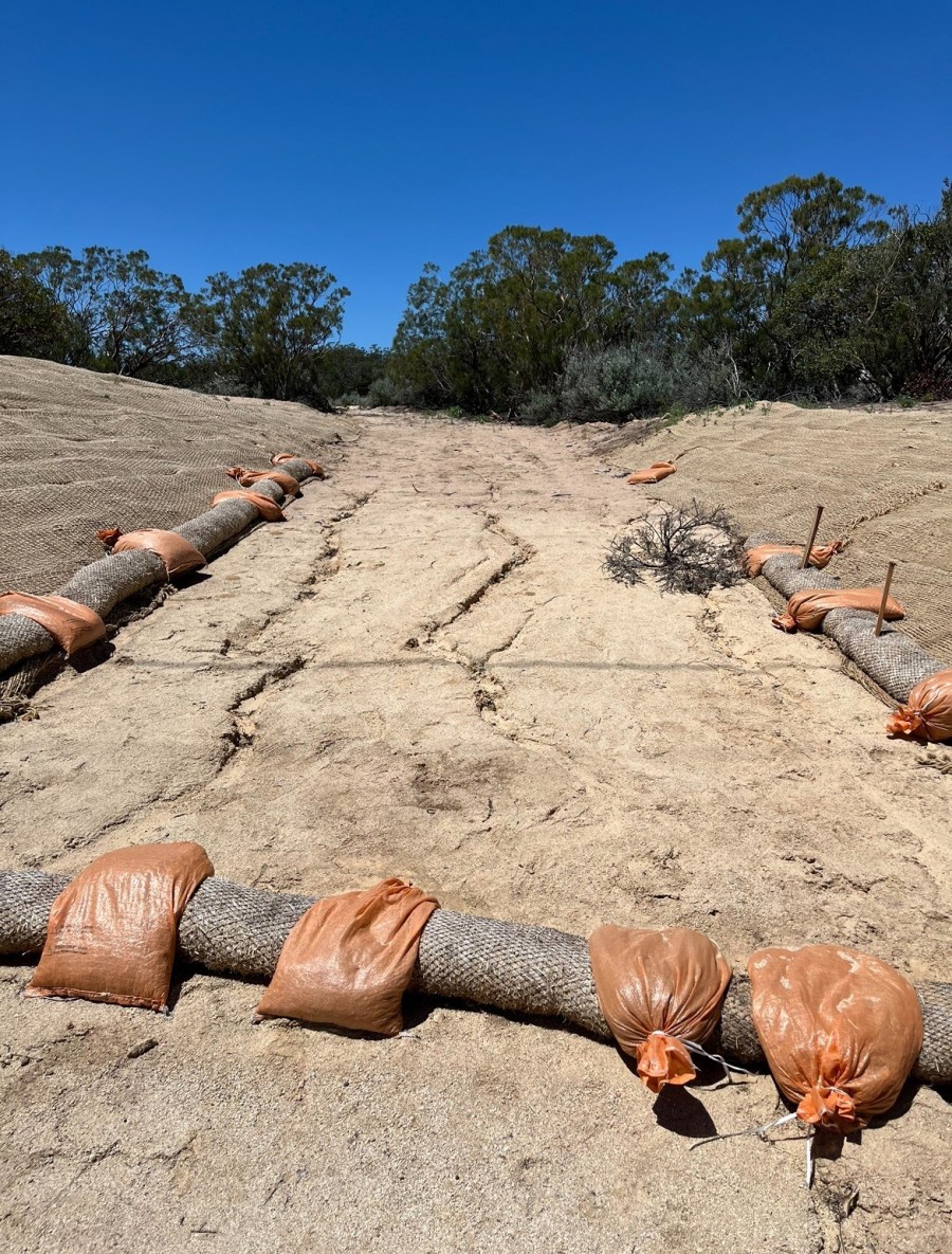 The access road was graded on the proposed cemetery site in Pine Valley