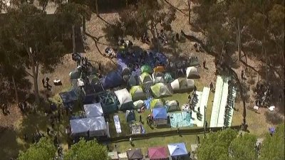 UCSD students establish pro-Palestinian encampment on campus