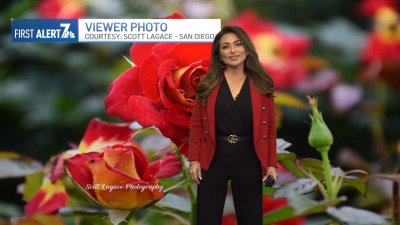 Francella Perez' evening weather forecast for May 12, 2024
