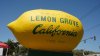 In Your Neighborhood: Exploring the community tapestry of Lemon Grove