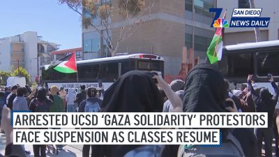Arrested UCSD ‘Gaza Solidarity' protestors face suspension as classes resume | San Diego News Daily