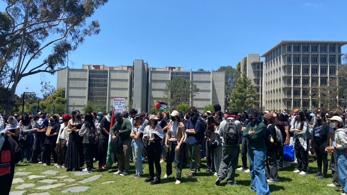 UC San Diego students walk out of class as part of pro-Palestinian ...