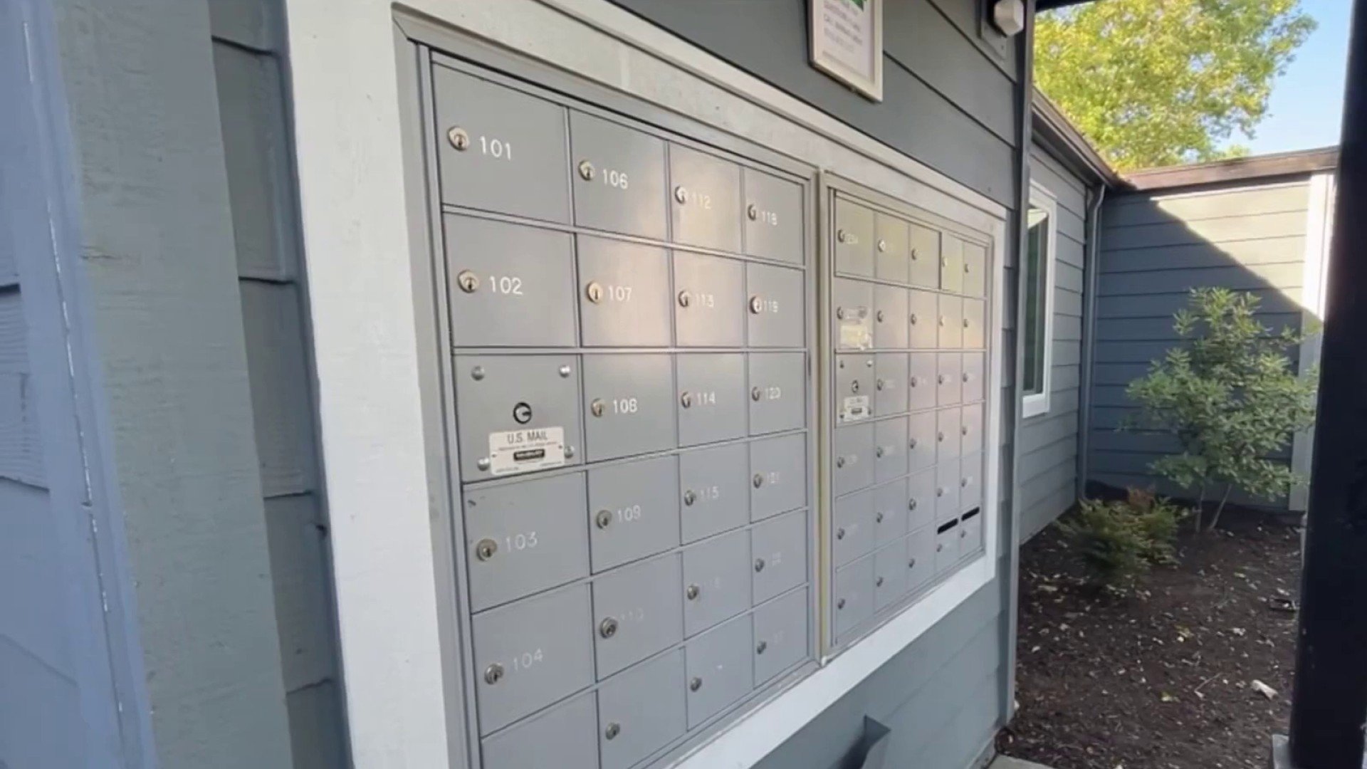 USPS mail carrier tacked, robbed in Palo Alto – NBC 7 San Diego - Vimarsana News