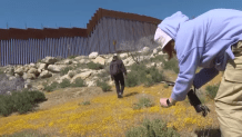 Botanists and citizen scientists armed with the iNaturalist app on their smartphones are recording the biodiversity along the U.S.-Mexico border. Called the Border Bioblitz, more than 1,000 volunteers are recording as many species as possible in May. Botanist Sula Vanderplank says the endeavor started when the former Trump administration added hundreds of miles of border walls including through the biodiversity hotspot of Baja California.