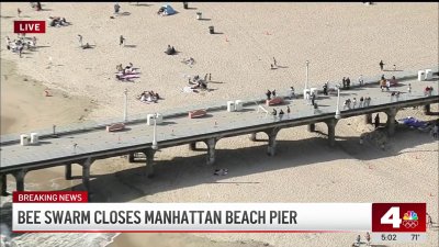 Bee swarm shuts down Manhattan Beach Pier