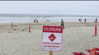 Witness talks about shark attack off Del Mar