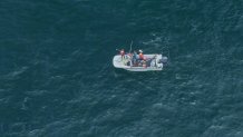 Según los científicos, este año las ballenas azules están más cerca de las costas de San Diego de lo habitual.