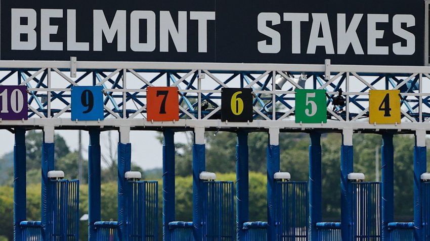 Belmont Stakes starting gate