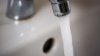 Texas woman dies from brain-eating amoeba after cleaning sinuses with tap water
