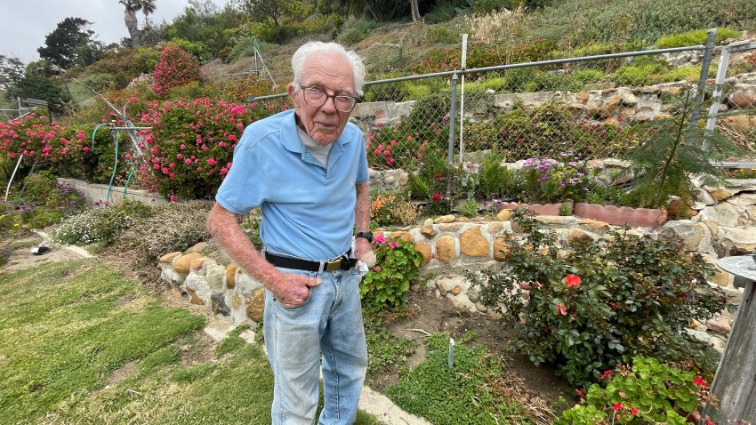 Older man standing in a yard