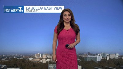 Francella Perez's evening weather forecast for June 29, 2024