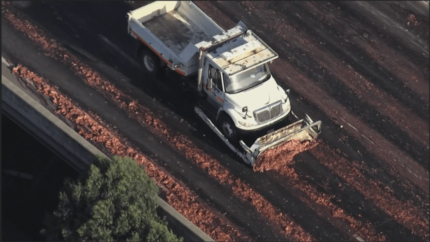 Workers clear piles of raw chicken parts from the I-880 freeway in Oakland