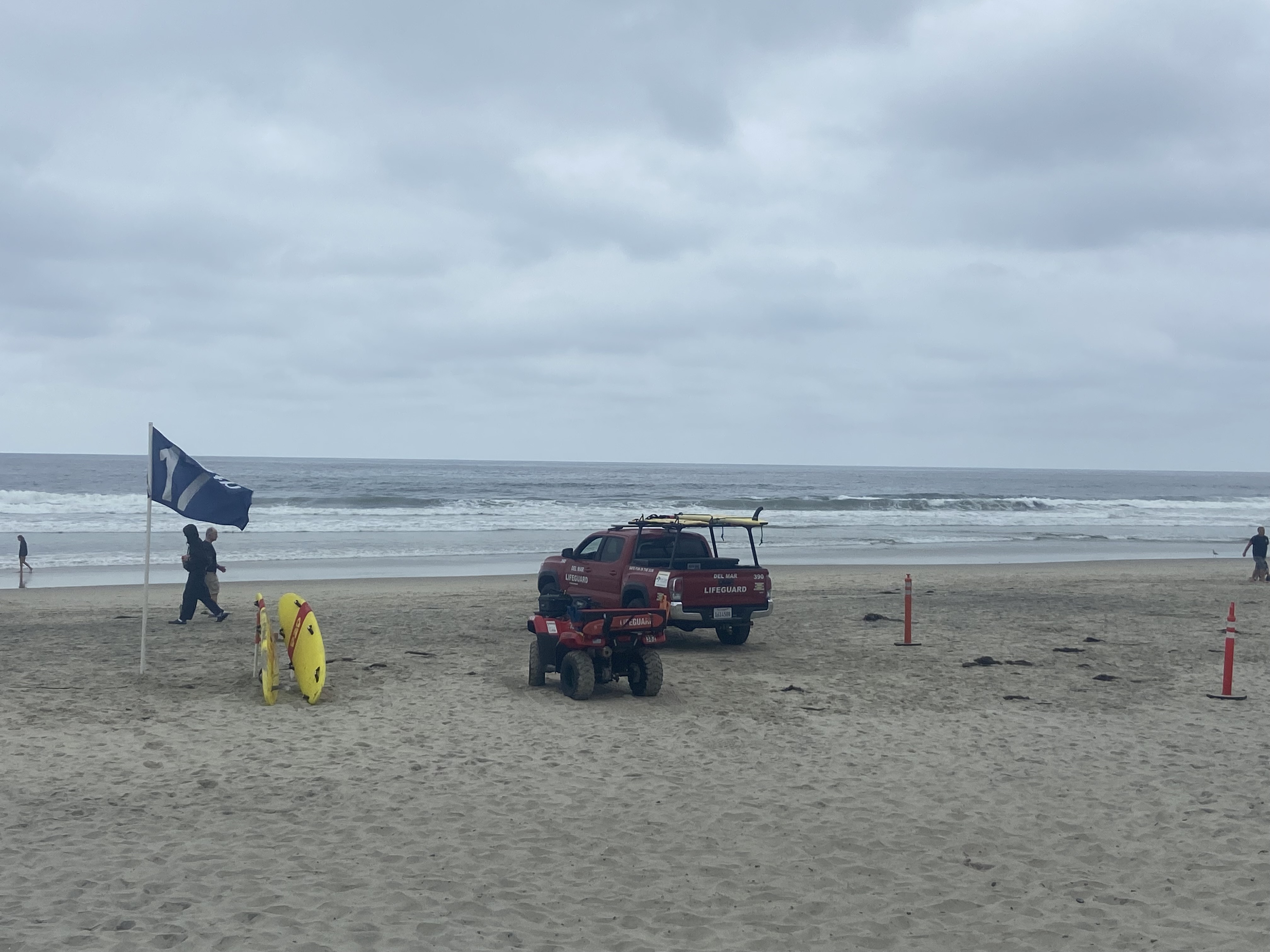 A shark attack in Del Mar on June 2, 2024 prompted beach closures in the area. (NBC 7 San Diego)