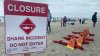 Shark attacks swimmer in Del Mar, beaches closed