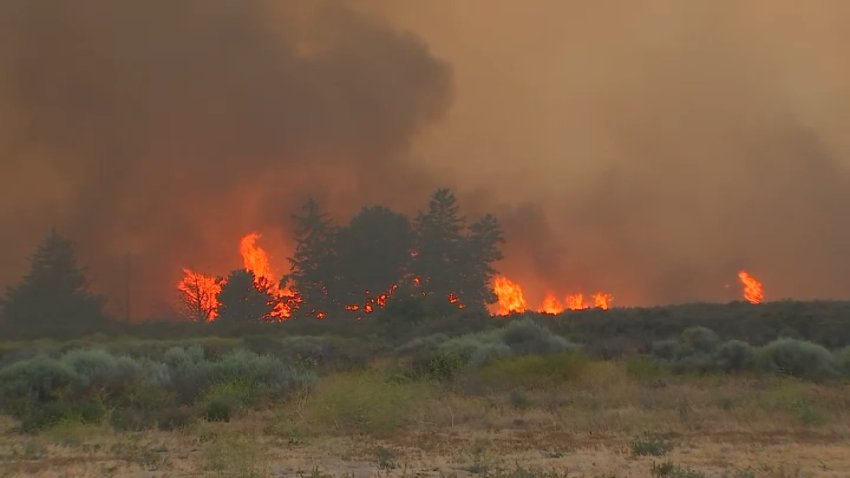 A brush fire burns in Gorman on Sunday, June 16, 2024.