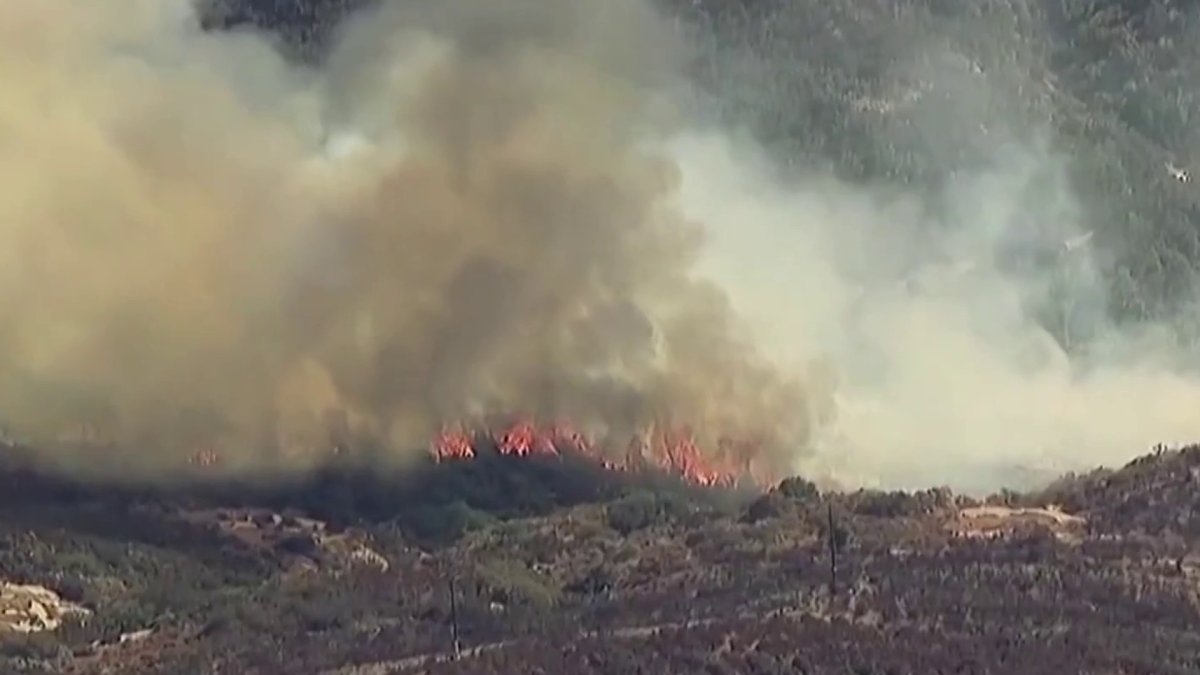 Brush fire burns in Dehesa area – NBC 7 San Diego