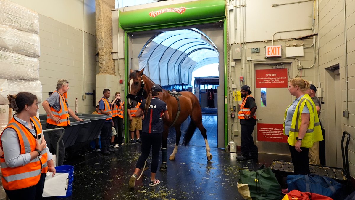 How do they get equestrian horses to the Paris Olympics? NBC 7 San Diego