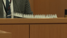 The jury is shown 'bird spikes' that were installed on Connie's balcony.