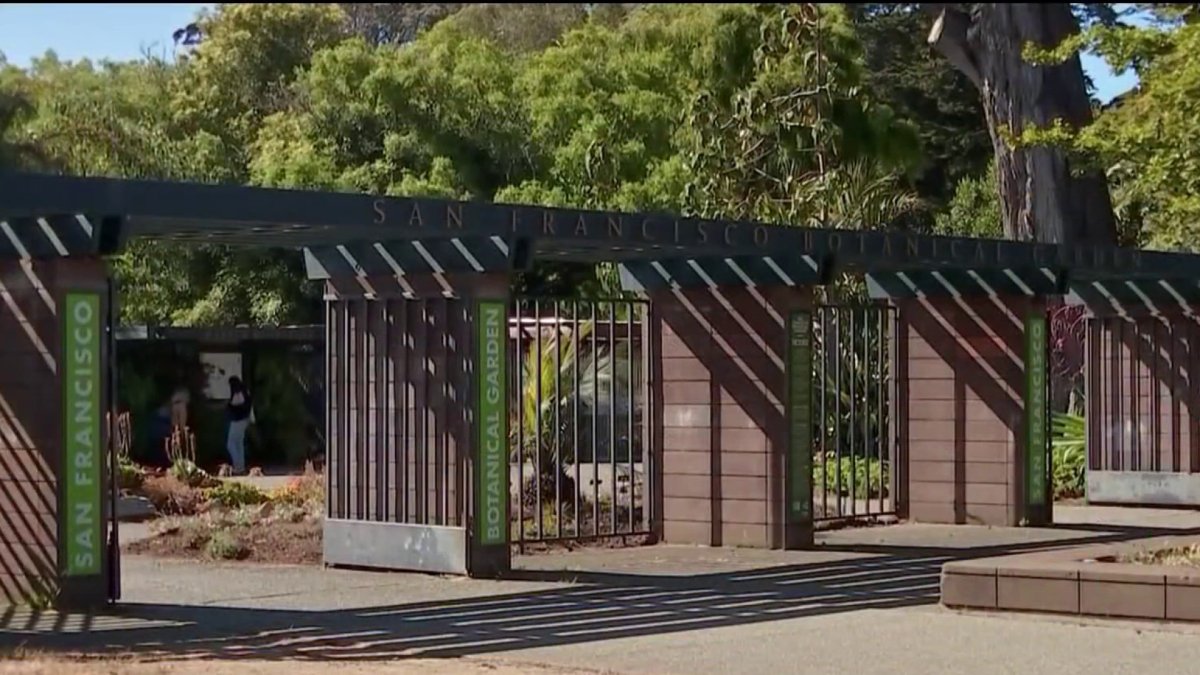 Officers Kill 3 Coyotes At San Francisco Botanical Garden After Attack tickets-for-gregory-alan-isakov-ray-lamontagne-in-san-diego-wegow